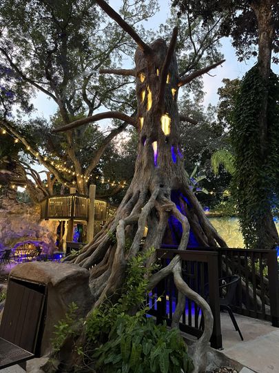 The Shape of Water Restaurant