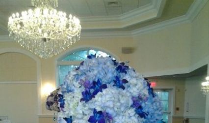 Petals on the Sand LLC