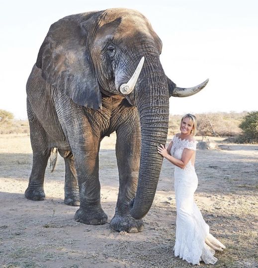 Bettina Bridal and Couture