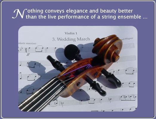StringMusic.net