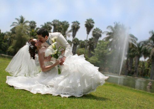 Alicia Rodgers Event Designs