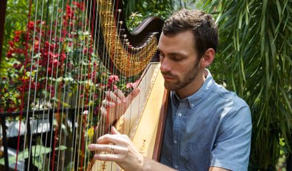 The Coastal Harpist