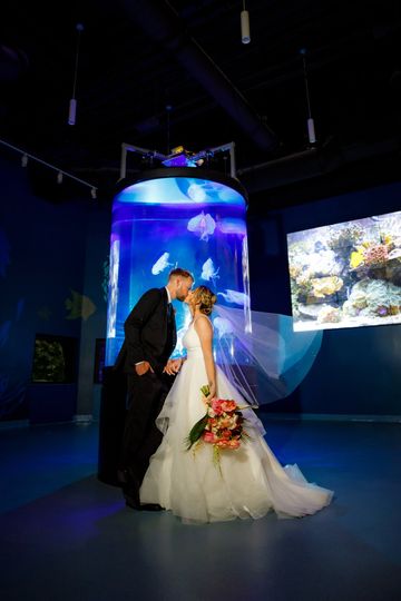 Loggerhead Marinelife Center
