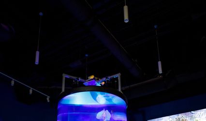 Loggerhead Marinelife Center
