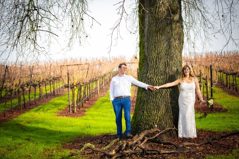 Mellowood Vineyard