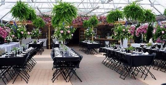 Colonial Nursery Garden Center