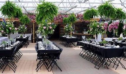 Colonial Nursery Garden Center