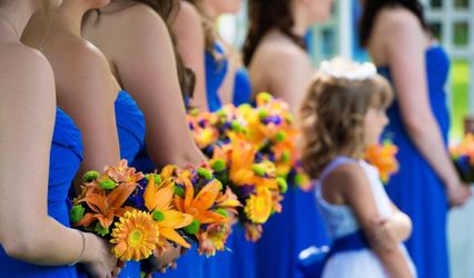 Sara Holleboom Photography