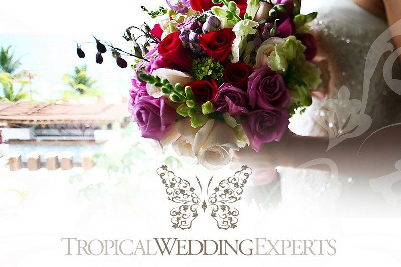 Tropical Wedding Experts