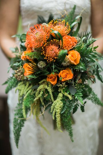 Willow & Ivy Design
