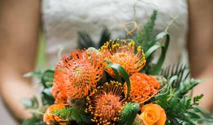 Willow & Ivy Design