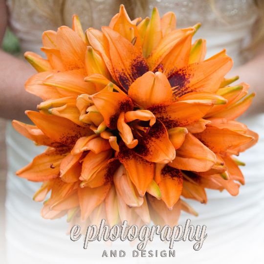E Photography & Design