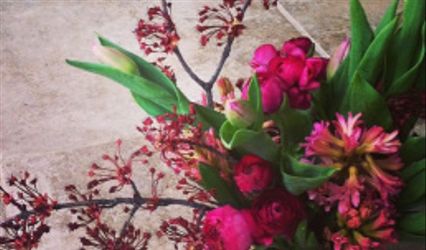 Homegrown Flowers