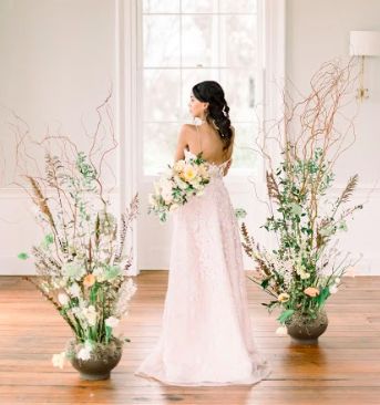 Stephanie Gibbs Events