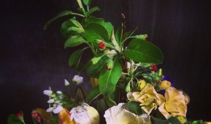 East of Eden Flower Farm