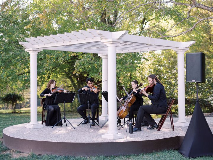 Melodious Strings