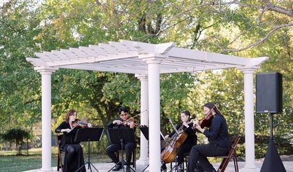 Melodious Strings
