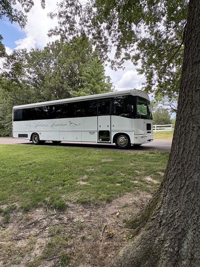 Platinum Limo STL
