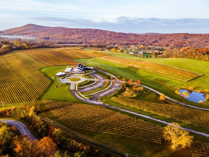 Big Cork Vineyards