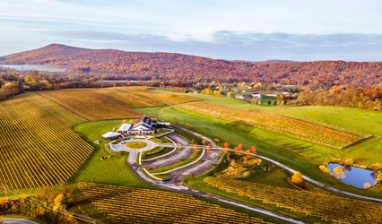 Big Cork Vineyards