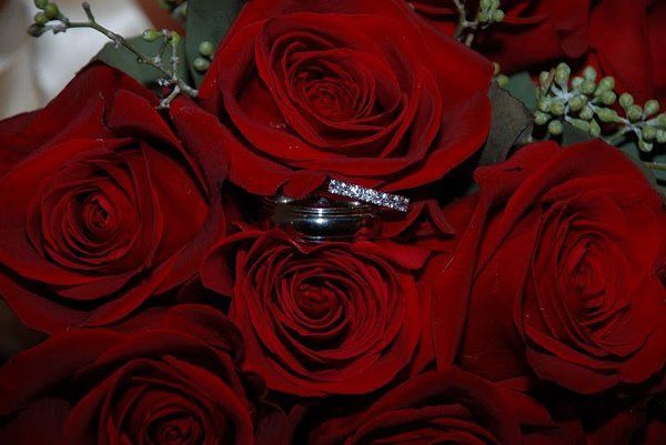 AJD PHOTOGRAPHY