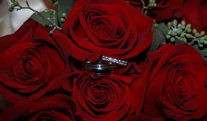 AJD PHOTOGRAPHY
