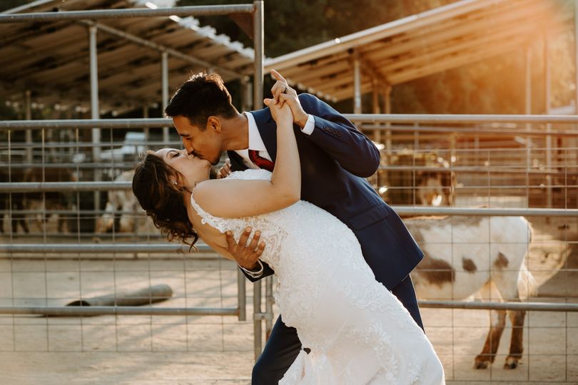Jocelyn Rae Photography & Co.