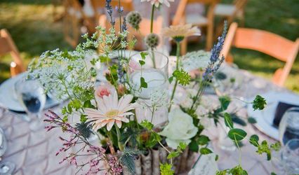 Felicia Events