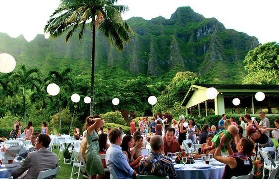 Hawaii Coffee & Tea Catering