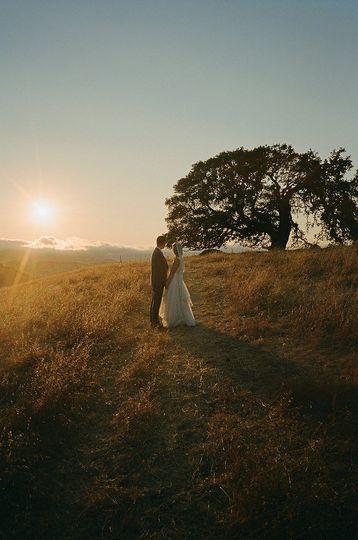 Mission Vineyard Ranch