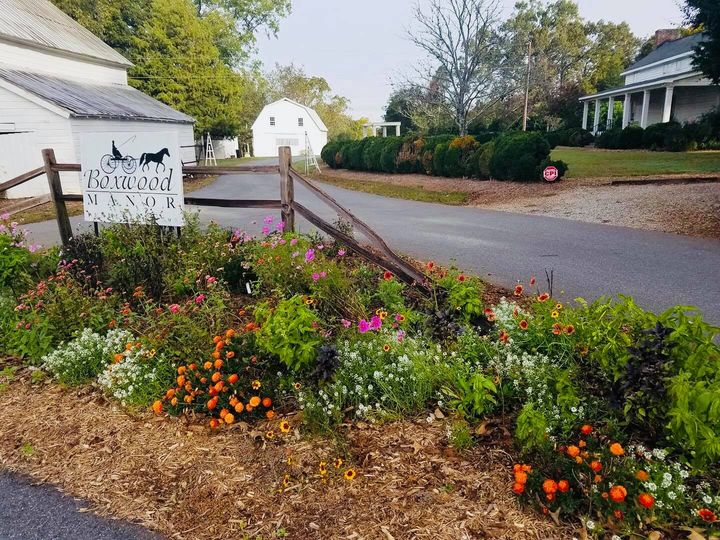 Boxwood Manor
