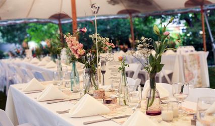 Gilded Lily Events