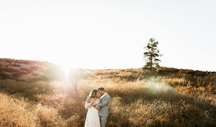 Peace & Pine Events