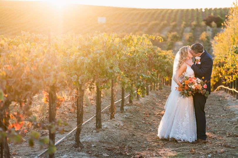 Bella Terra Vineyard Estate