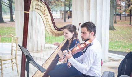 Higgins Harp Studio