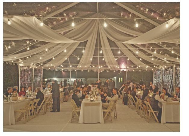 ELM Concierge: A Party Rental Company