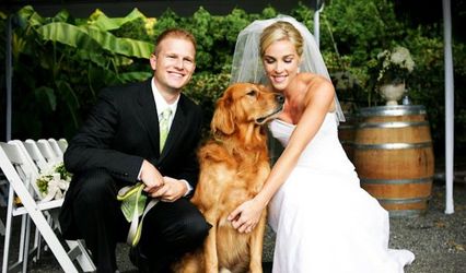 Sea Studio Photography