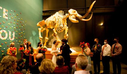 The Burke Museum