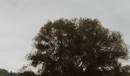 Corinne Ryan Photography