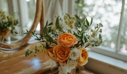 Daydream Florals