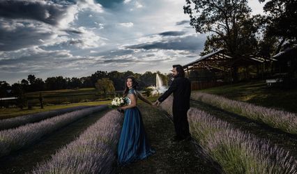 Lake Banoe Lavender Farm