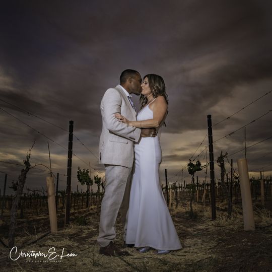 Little Lions Photography LLC