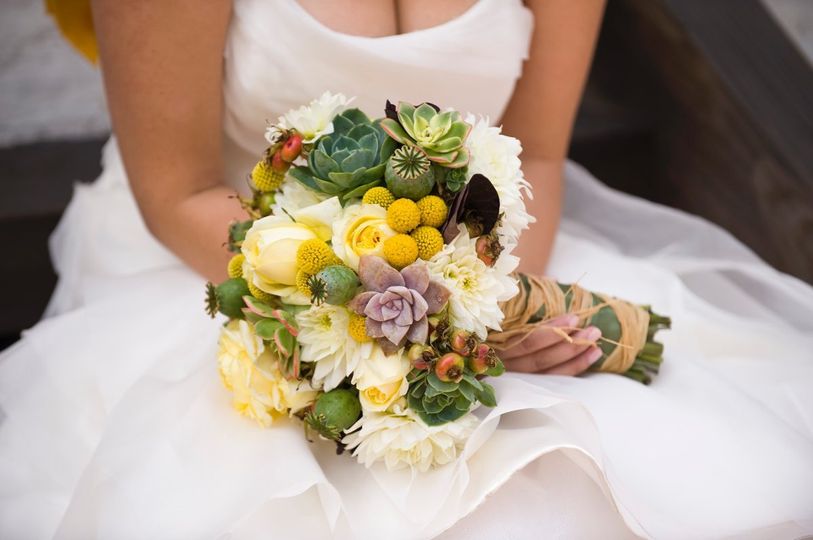 Fleurs du Soleil
