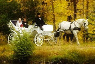 Collier Carriage Company