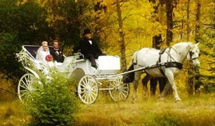 Collier Carriage Company