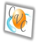 Custom Video Connection