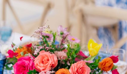 DenverRose, llc