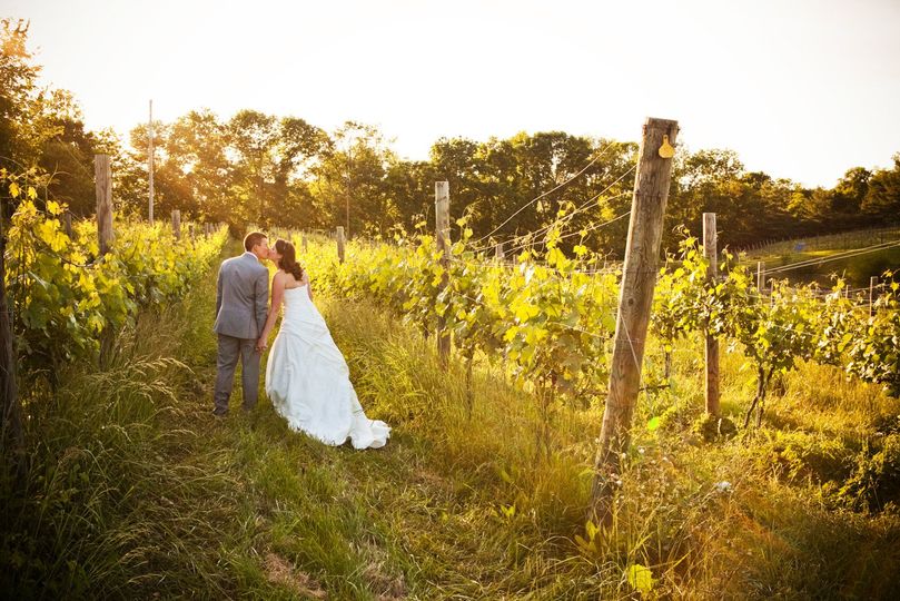 Amy Tucker Photography