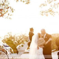 Ava K's Carriage Service L.L.C.