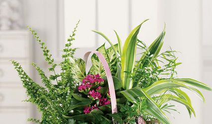 Alpine Artistic Florist